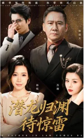 潜龙归渊待惊雷爽文短剧简介